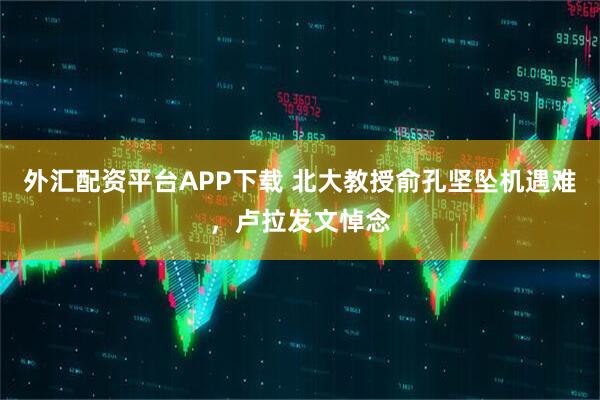 外汇配资平台APP下载 北大教授俞孔坚坠机遇难，卢拉发文悼念