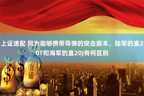 上证速配 同为能够携带导弹的突击版本，陆军的直20T和海军的直20J有何区别