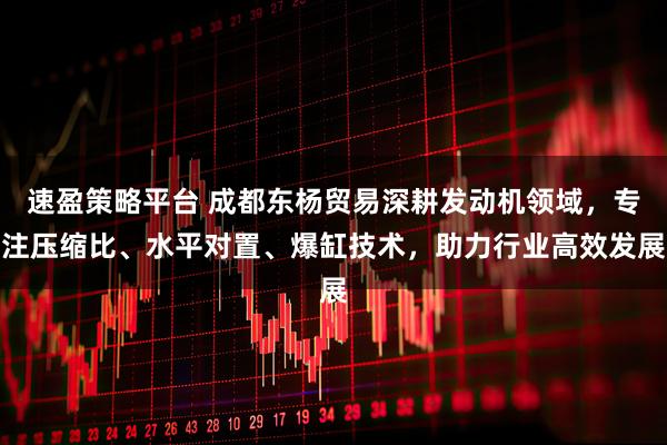速盈策略平台 成都东杨贸易深耕发动机领域，专注压缩比、水平对置、爆缸技术，助力行业高效发展
