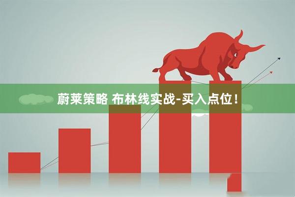 蔚莱策略 布林线实战-买入点位！
